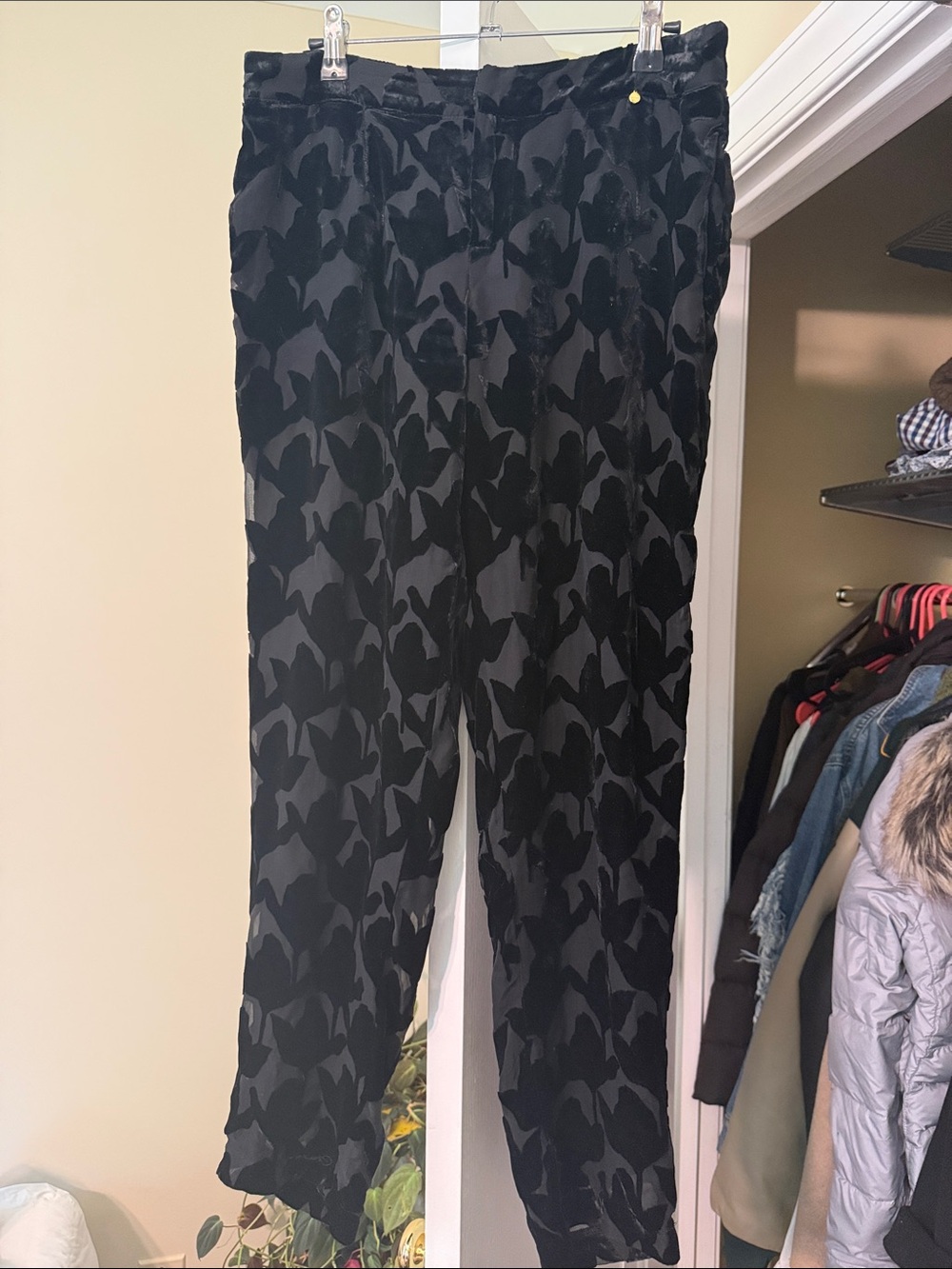 Girls Black Velvet-Patterned Ankle length Jogger Pants